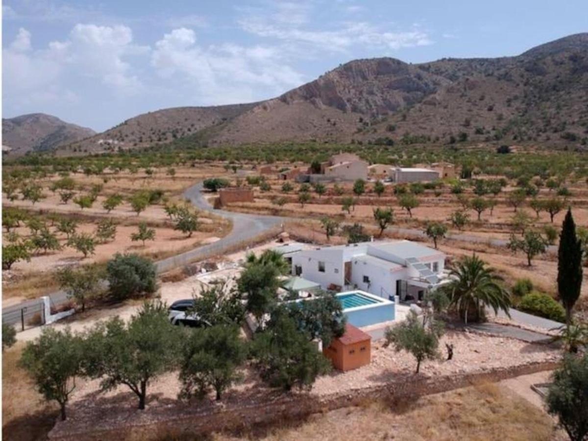 Traditional Spanish Cave House In Alguena Villa Buitenkant foto